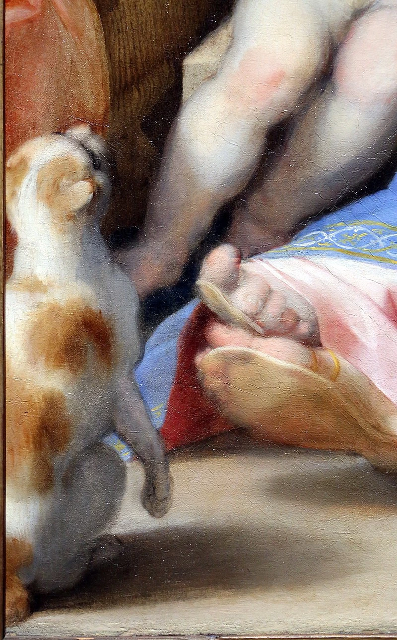 Madonna della gatta - dettaglio1, Mational Gallery Londra, Barocci Federico